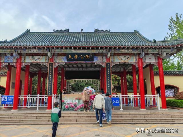 逛菏泽天香公园，这里牡丹很吸引游客，关键是二十四小时免费参观