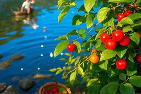 如何用ipad绘画教程图片