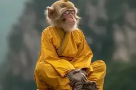 天选之人的3大特征，他们是上天长期保护的！图片