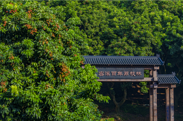 避开人潮！吐血整理15个国庆周边游宝藏地，人少景美耍法多，假期出游看这篇就够！