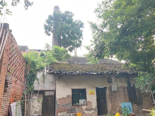 重庆巴南拥有多个历史文化古迹的街道，100米之内有三座古桥