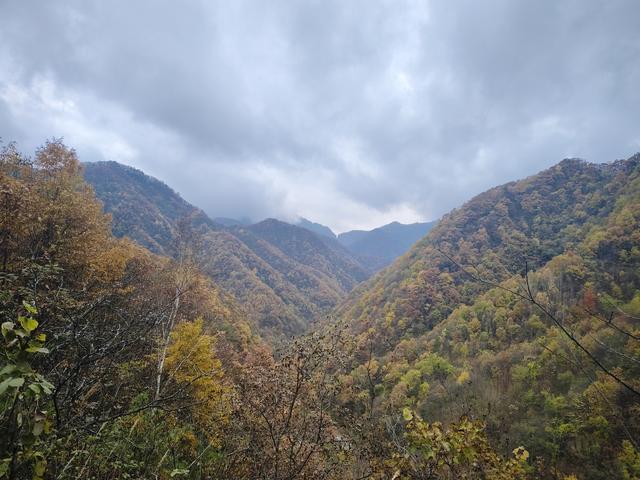 南行漫记：329公里的穿越之路，带你一起看红叶