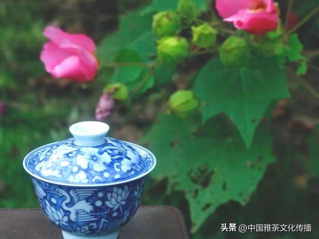 嘉州茶聚，韵逸时光