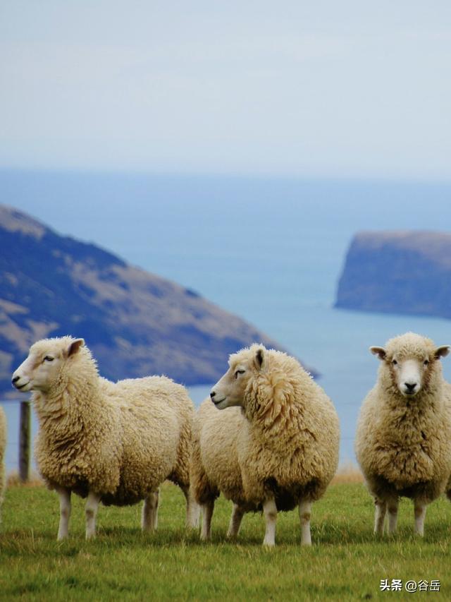 带着孩子，用轻徒步翻开大地之书