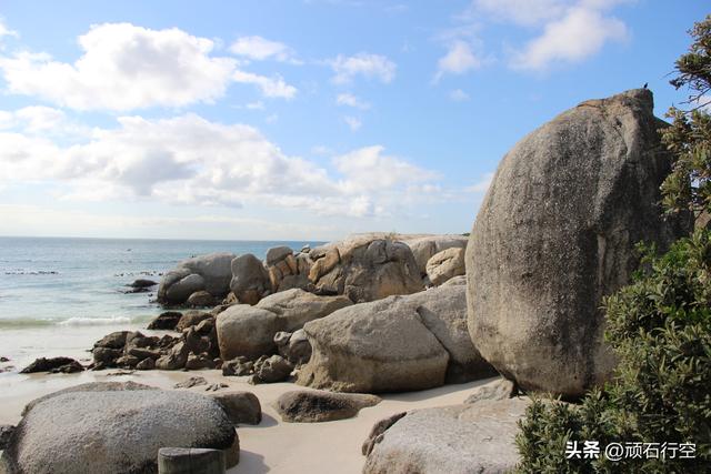 南部非洲：南非开普敦企鹅岛