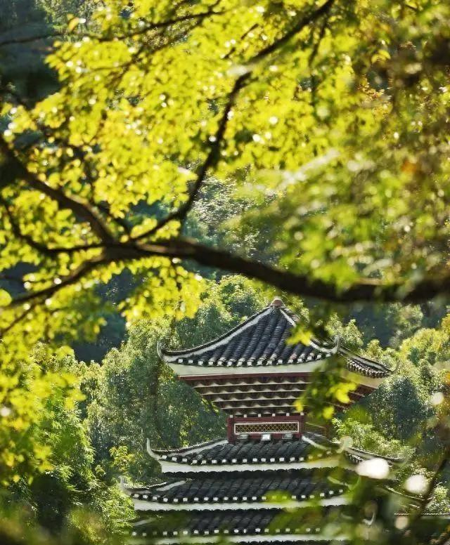 贵阳又一超级公园走红，比观山湖还大，是贵阳城区最大公园，免费