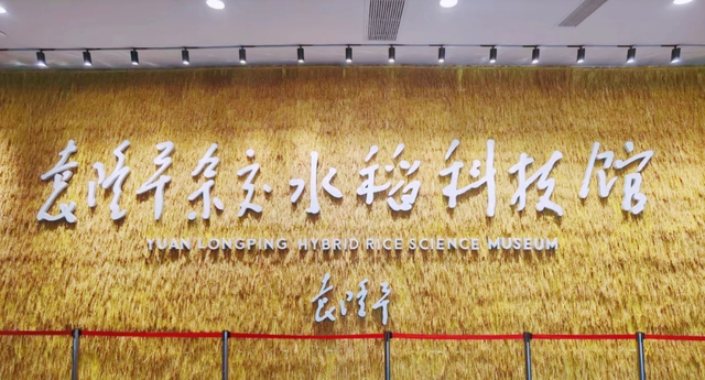 春日郫都随手拍 | 用脚步，丈量郫都的春天（文末送福利哦🥳）