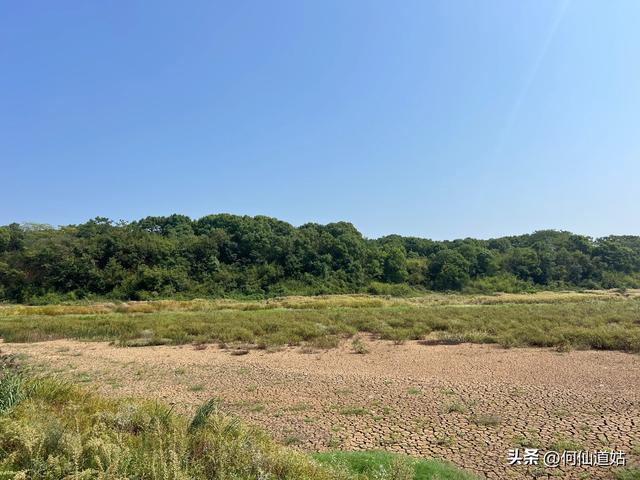 吴城“世界湿地，候鸟王国”