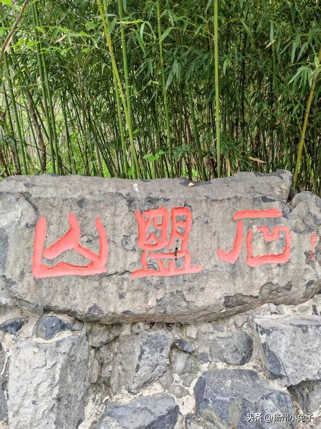 她乐乐地游，我遥遥地观