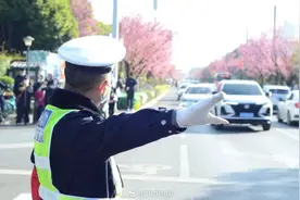 人少、鸥多、停车方便！春节假期昆明观鸥攻略图片