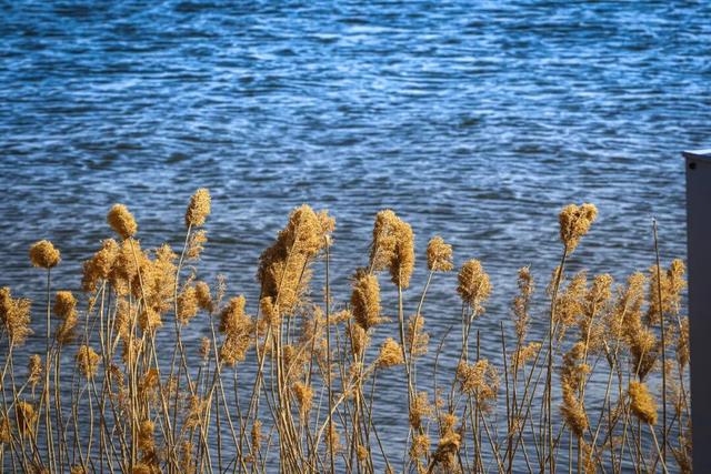 辽滨春色美景上线！邀您共赏~