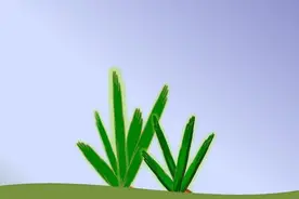 都是“吃”：eat 和 have，有什么区别？图片