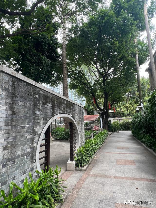看看青年公园