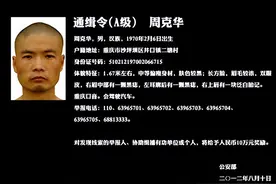 通缉令和网逃的法律规定图片