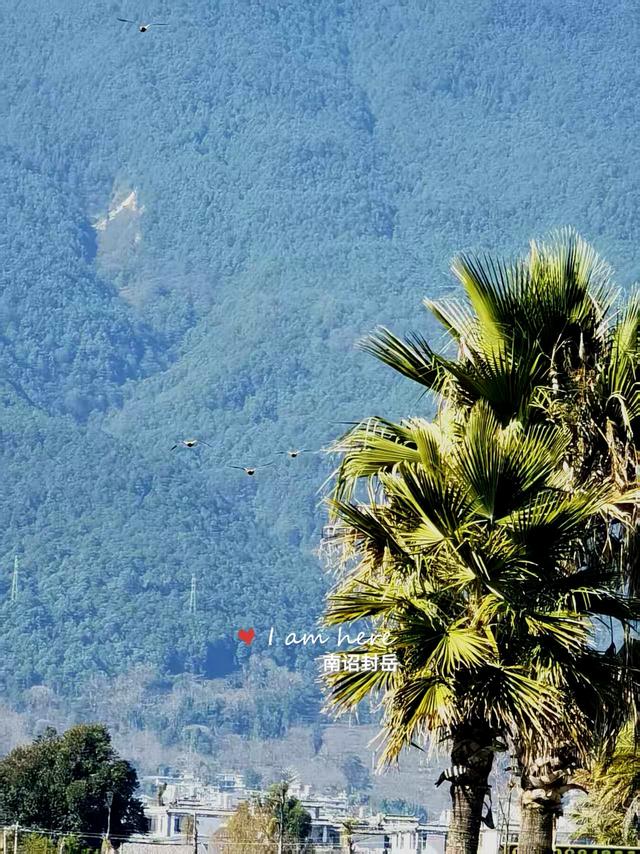 16个字，能概括出你心中的大理苍山的神奇吗？