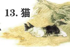 四年级下册语文，第四单元第13课《猫》笔记+课堂解析，收藏图片