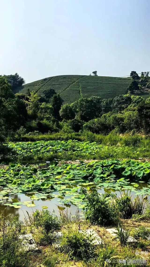 灵脉四合，飘渺仙境！浙江这座隋代古刹灵泉寺你可曾听闻过？