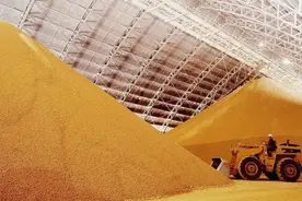 中美俄粮食储备量比拼：美国3亿吨，俄罗斯4500万吨，中国呢？图片