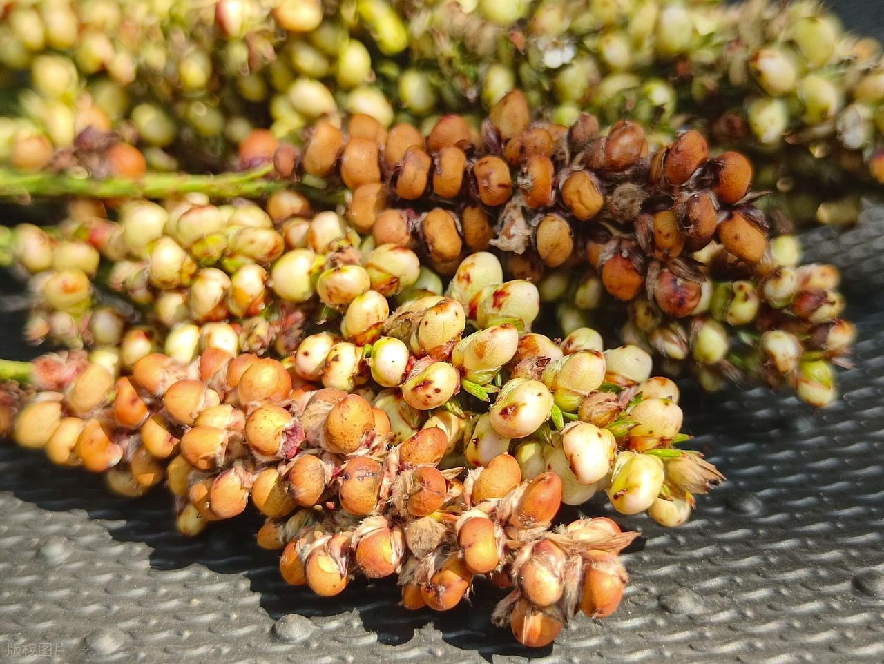 图片关键词 图片关键词