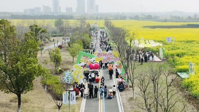 6天，近70万人！