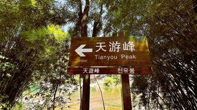 到武夷山国家公园，赴一场山水之约