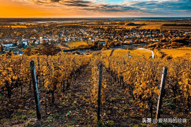 葡萄酒爱好者不可错过的10个欧洲绝佳度假地