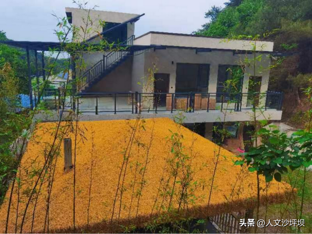 周末，来沙坪坝采“野味”呀~（附宝藏民宿/营地清单）