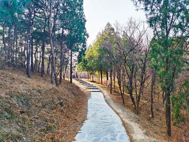 法海寺旅游休闲步道——冬日里的治愈系漫步