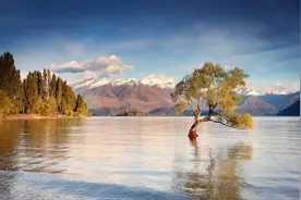 最有脑子的生肖，智商高，机智过人图片