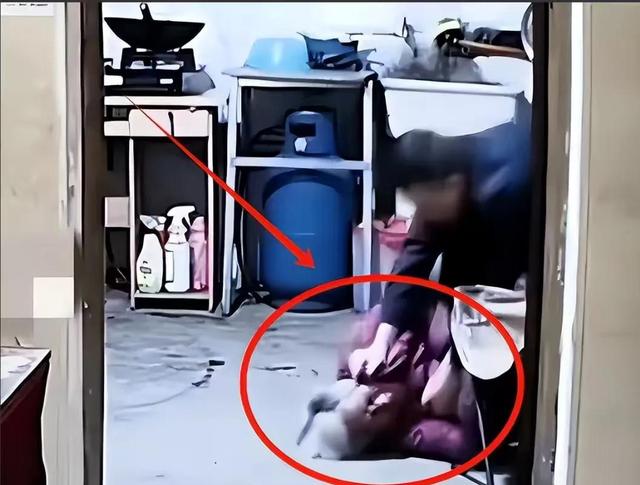 男子暴打母亲后续！亲戚为男子发声，动手事出有因，老人拿钱捞人