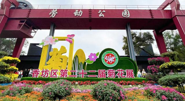 哈尔滨市香坊菊花展热度飙升，带火辖区多处主题公园