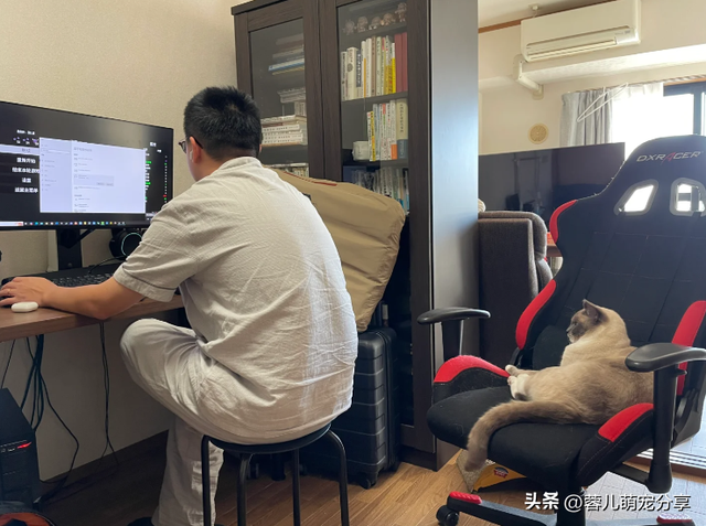 男子吐槽老婆是为了猫才和他结婚的，本来不信，结果哈哈笑喷了！