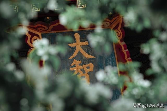 北京这六大名寺的春天赏花攻略