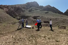 100余公斤野生蝎子被放归自然图片