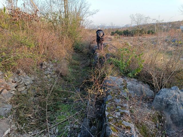 红七军走过的路：从全州龙水桥渡到全州镇大喜塘与枫木山走过的路