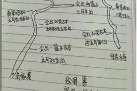 云南网友发现，高德地图竟然可以用来找蘑菇了？！图片