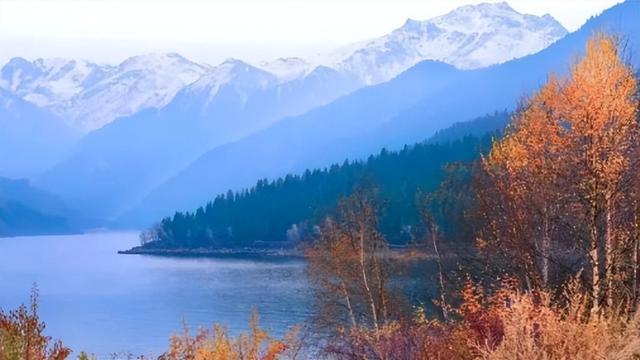 新疆11月6日资讯