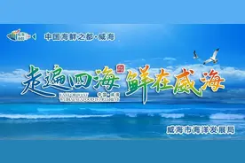 走遍四海，鲜在威海——裙带菜，海带的“胞兄胞弟”图片