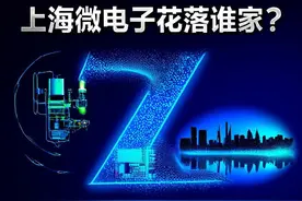 上海微电子花落谁家图片