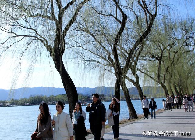 颐和美景三月天，柳丝垂岸水含烟