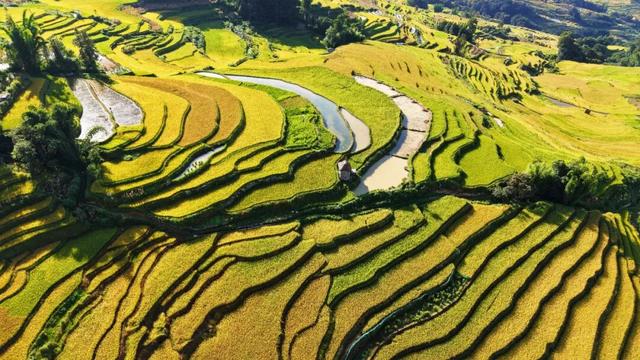 来元阳泼水“浇”个朋友，再把米香带回家