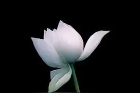 气血不足的十八种症状？——侯保全医生图片