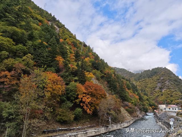 米亚罗彩林季，观赏一日游！
