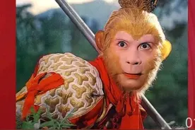 孙悟空个人简历图片