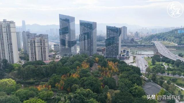 大面积改造！再见宜宾流杯池公园