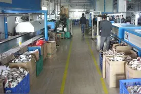 打工那些年：鞋厂女老板对我恩重如山，我在她低谷时不离不弃图片