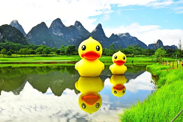 桂林:小黄鸭飞进桂海晴岚!