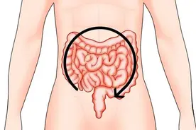 揉肚子治便秘，真的管用吗？图片