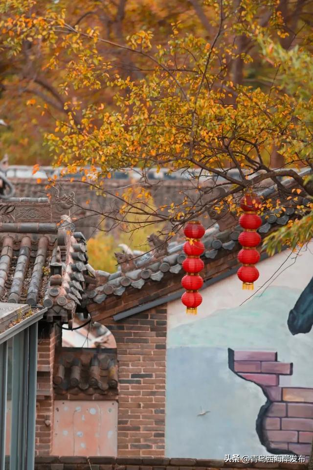 走不出这画了,我已被西海岸的秋景迷倒 🥹