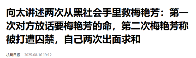 向太曝光梅艳芳事件真相，被追杀躲泰国2年， 陪身边的不是赵文卓